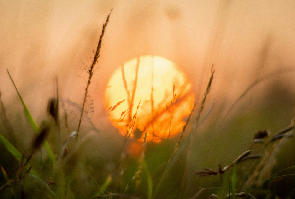 How to Find Your Life Purpose: The Real Meaning and Purpose of Life for Sensitive People