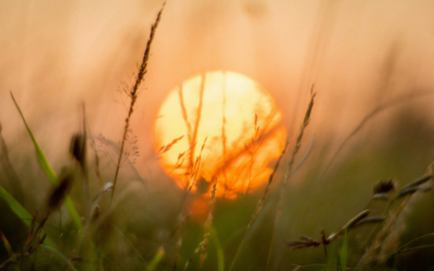 How to Find Your Life Purpose: The Real Meaning and Purpose of Life for Sensitive People