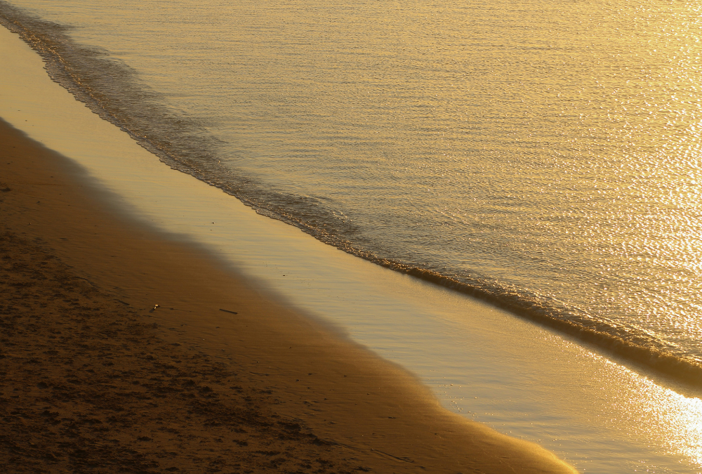 What Does “Trusting Myself” Actually Mean? A Guide for Sensitive People