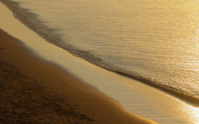 What Does “Trusting Myself” Actually Mean? A Guide for Sensitive People