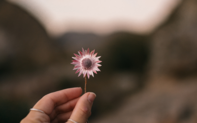 What Does “The Meaning of Life Is to Find Your Gift” Really Mean?