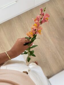 orchid