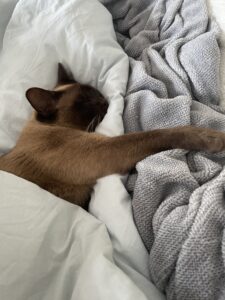 Sleep well